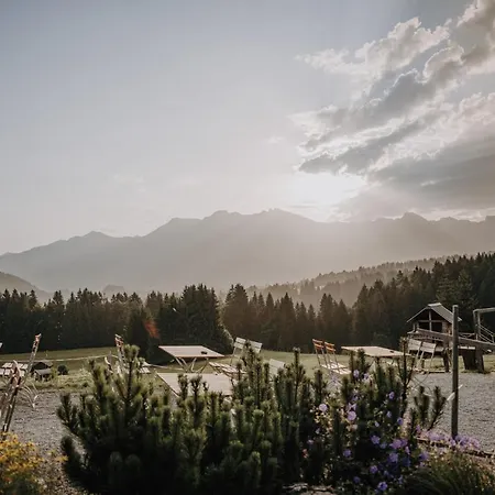 Отель Alpe Dornach 4*